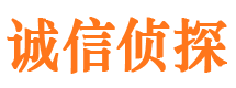 临洮私家调查公司